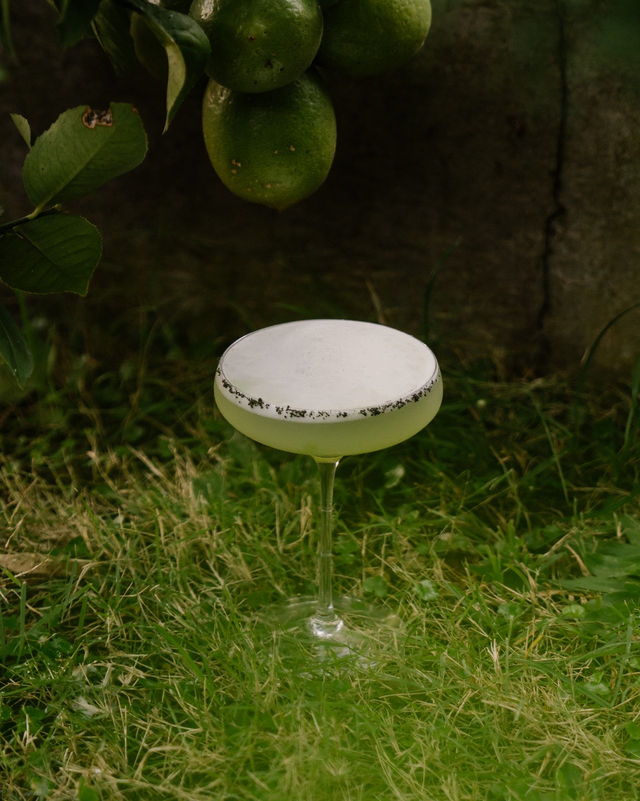 KAWI UBUD: A Cocktail Bar for the Quietly Curious