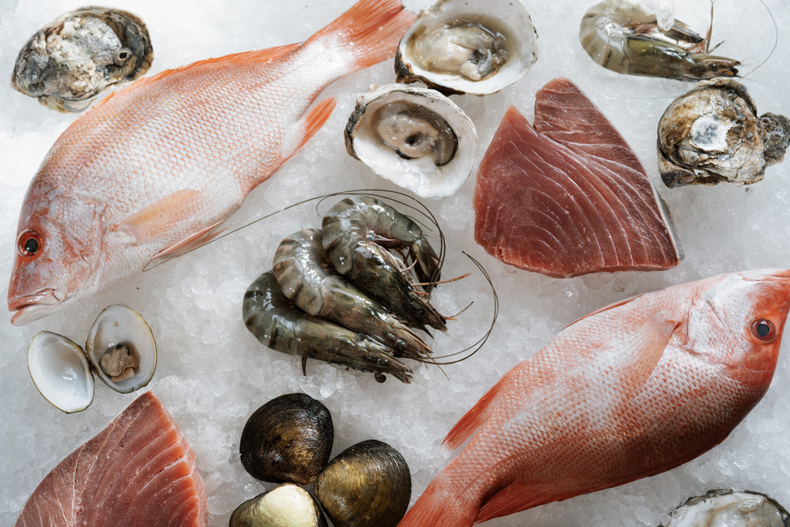 Tanah Liat Dives into Local Seafood with a Sustainable Soul