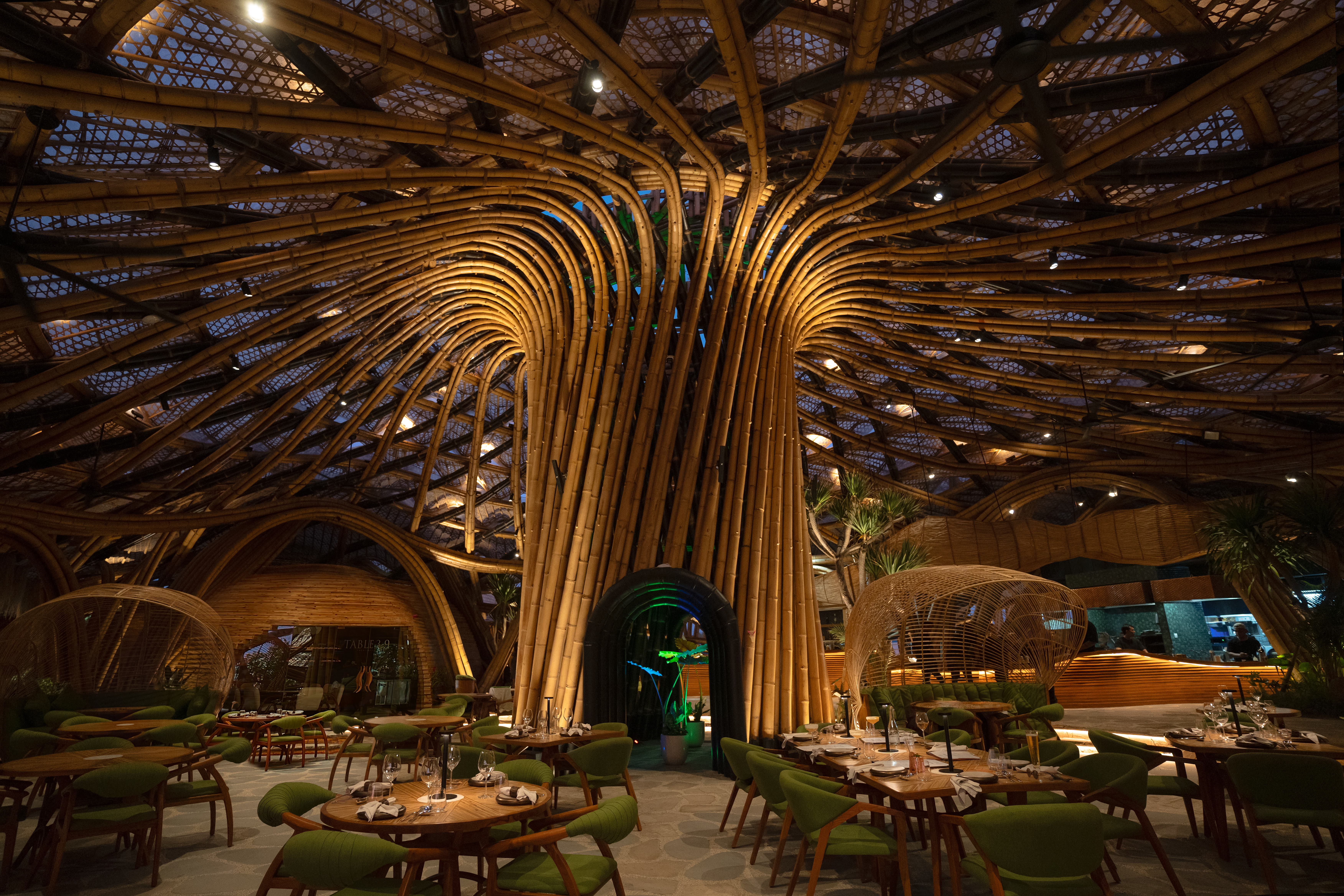 LUNA Beach Club: Daytime Bliss Meets Nighttime Revelry
