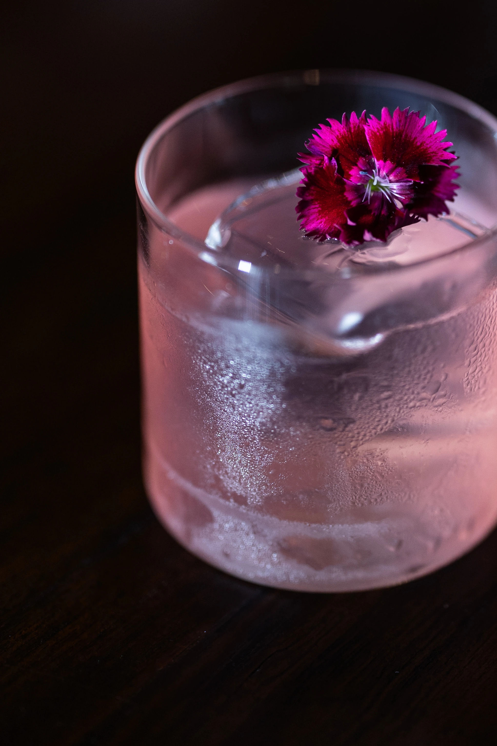 Still Nights, Strong Spirits: The Art of Slow Drinking at NOTTE